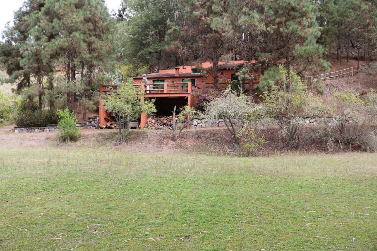 Casa Rural En Medio Del Bosque, El Lance Firgas Ngoại thất bức ảnh