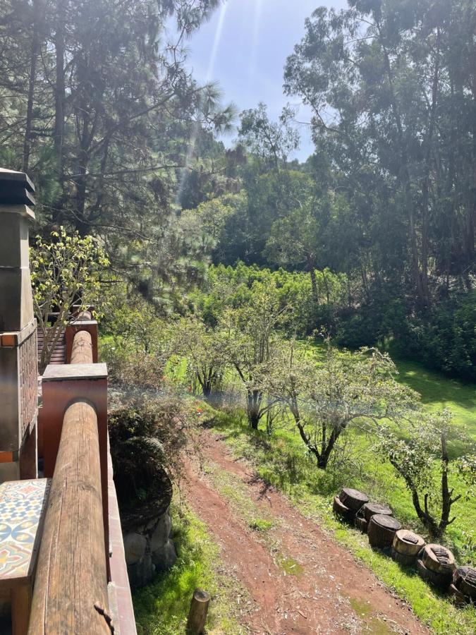 Casa Rural En Medio Del Bosque, El Lance Firgas Ngoại thất bức ảnh