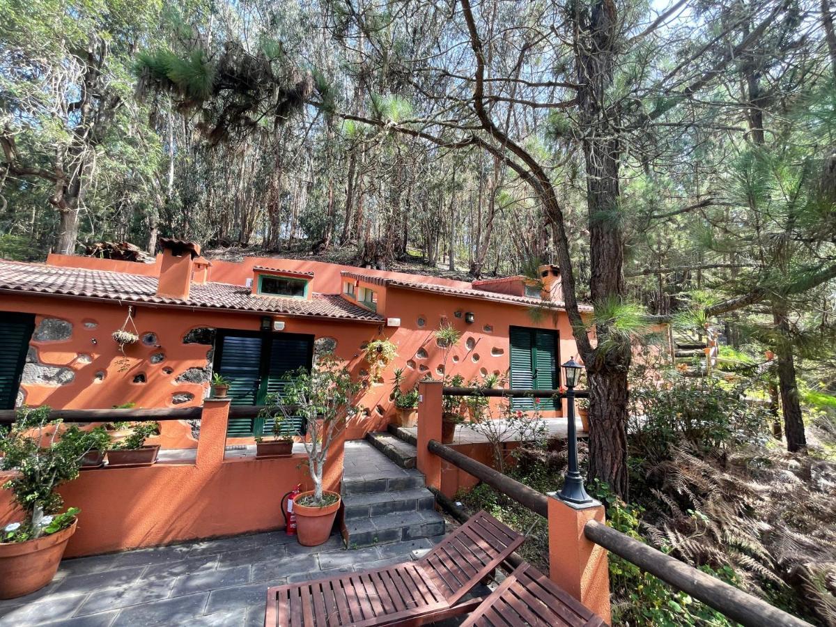 Casa Rural En Medio Del Bosque, El Lance Firgas Ngoại thất bức ảnh