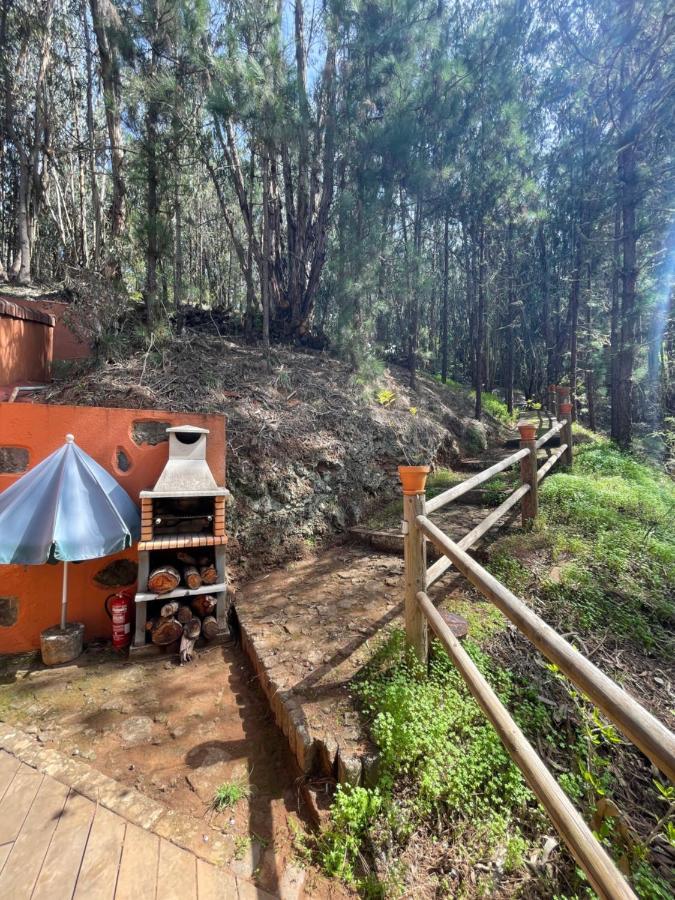 Casa Rural En Medio Del Bosque, El Lance Firgas Ngoại thất bức ảnh
