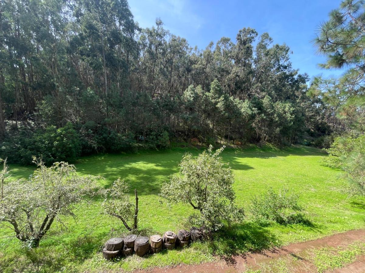 Casa Rural En Medio Del Bosque, El Lance Firgas Ngoại thất bức ảnh