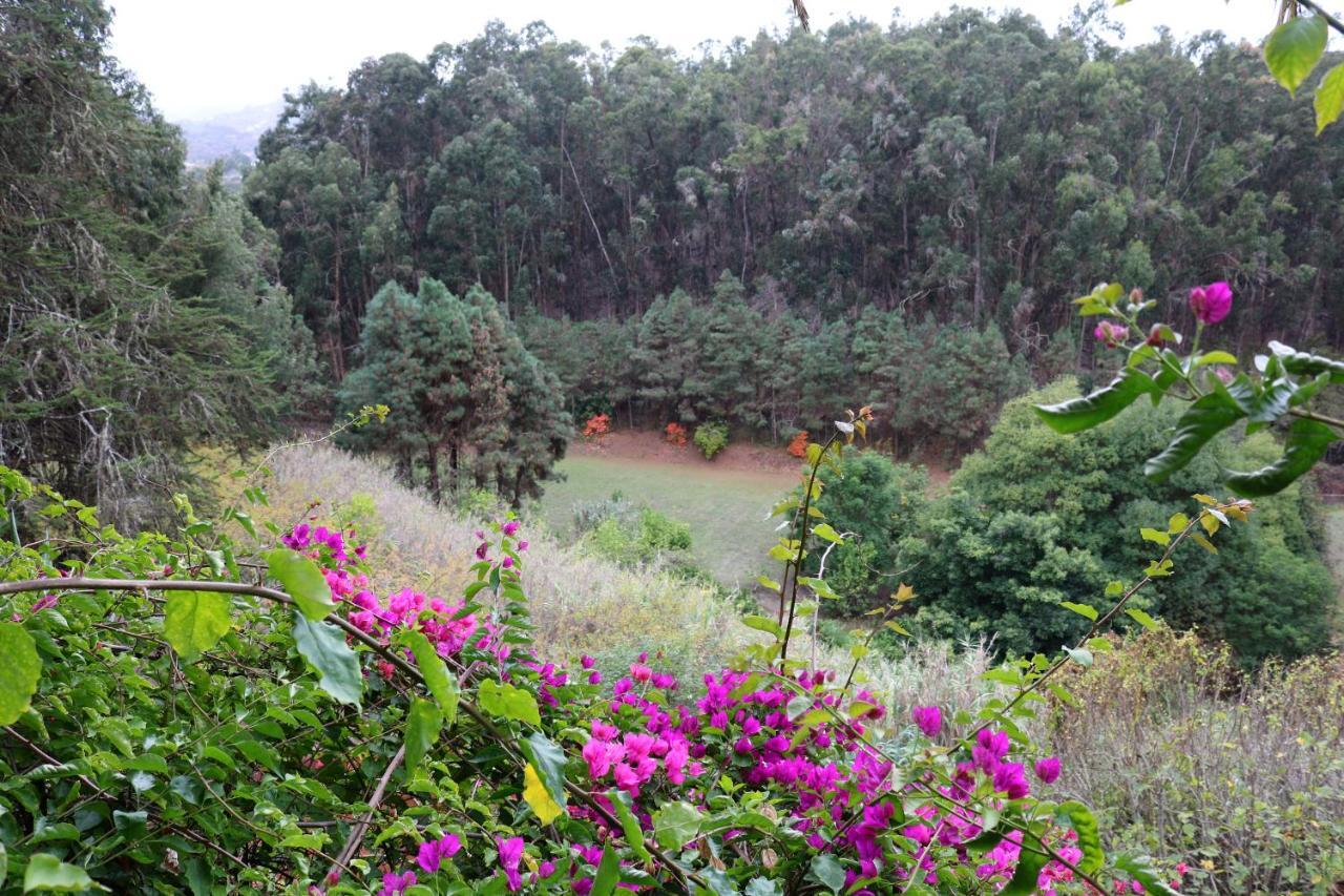 Casa Rural En Medio Del Bosque, El Lance Firgas Ngoại thất bức ảnh